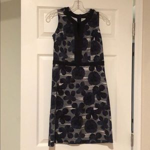 Ann Taylor Dress